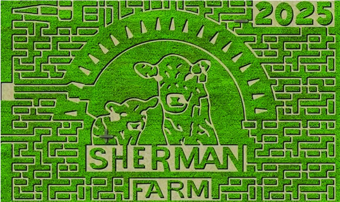 Sherman Farm's Corn Maize opens weekends starting Saturday